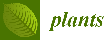 Plants logo